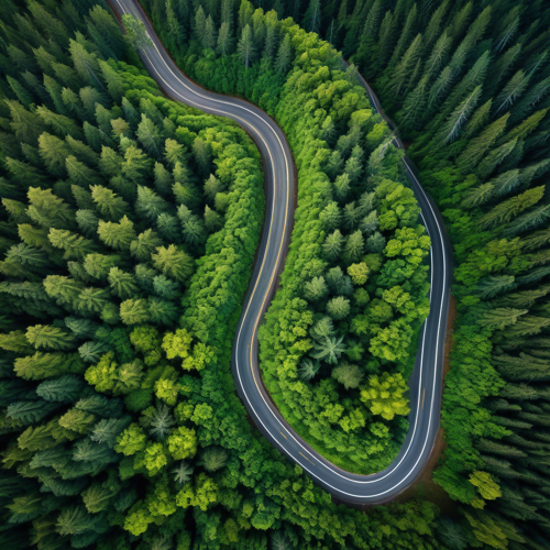 Nature & Wildlife: antenna, car, curve