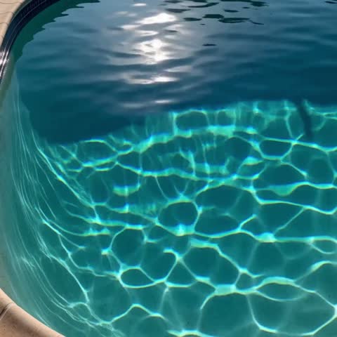 Nature & Wildlife: swimwear, goggles, pool